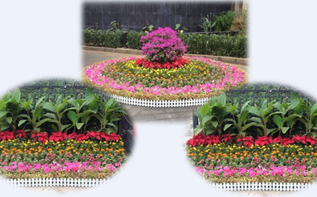 振興華龍人喜迎中秋、國慶雙節(jié)